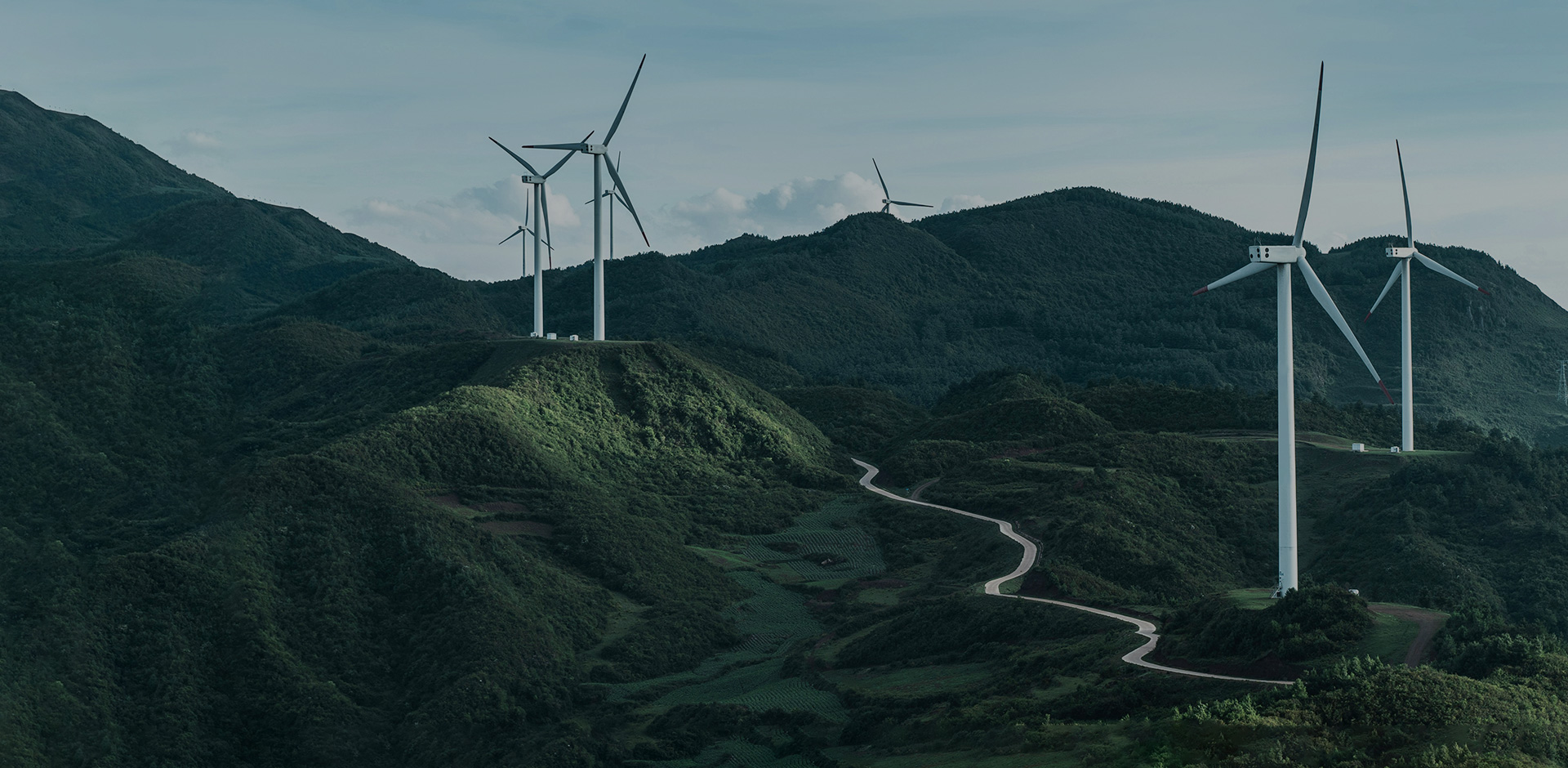 Wind Power Industry